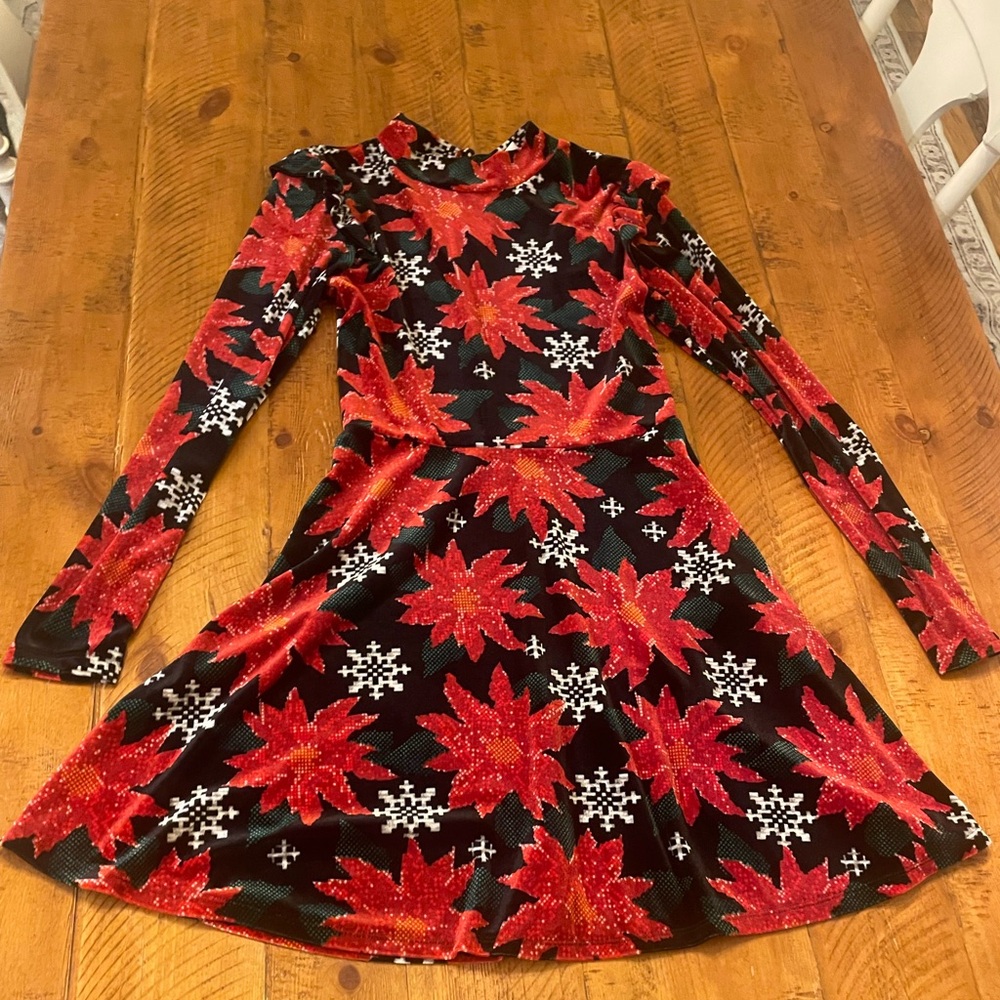Christmas Party Poinsettia Velvet Dress